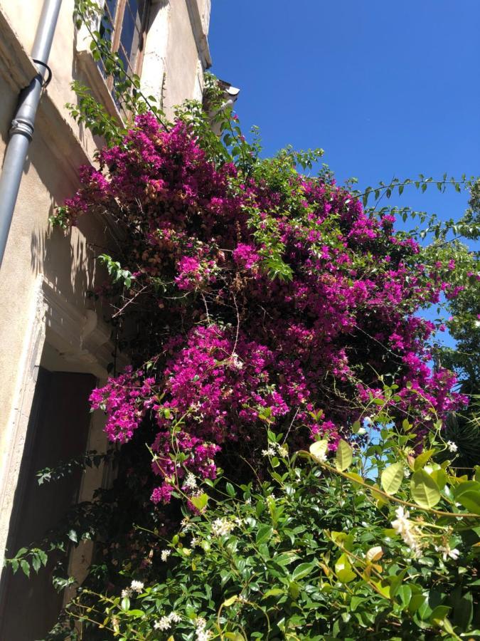 L' Ilot Des Iles Bed & Breakfast Cuxac-d'Aude Exterior photo